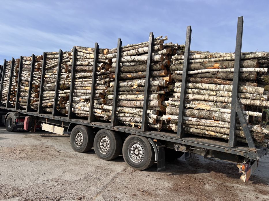 Продам дрова різних порід