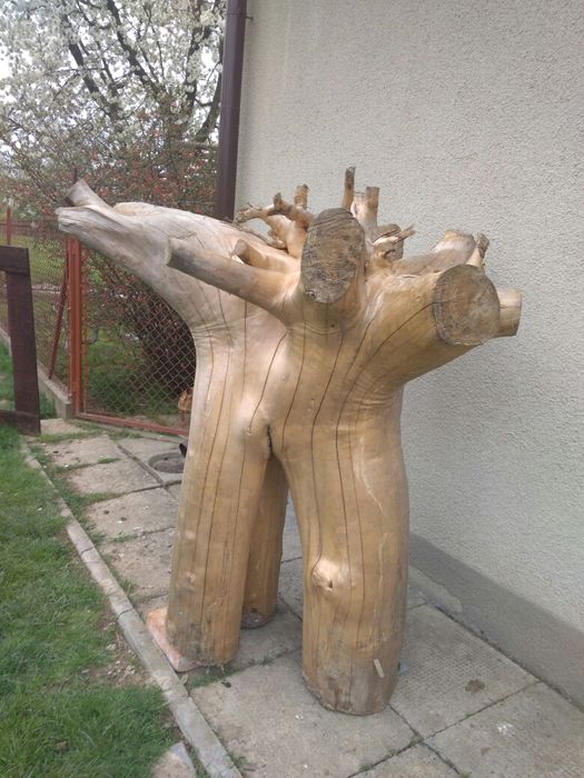 Korzeń ozdobny duży