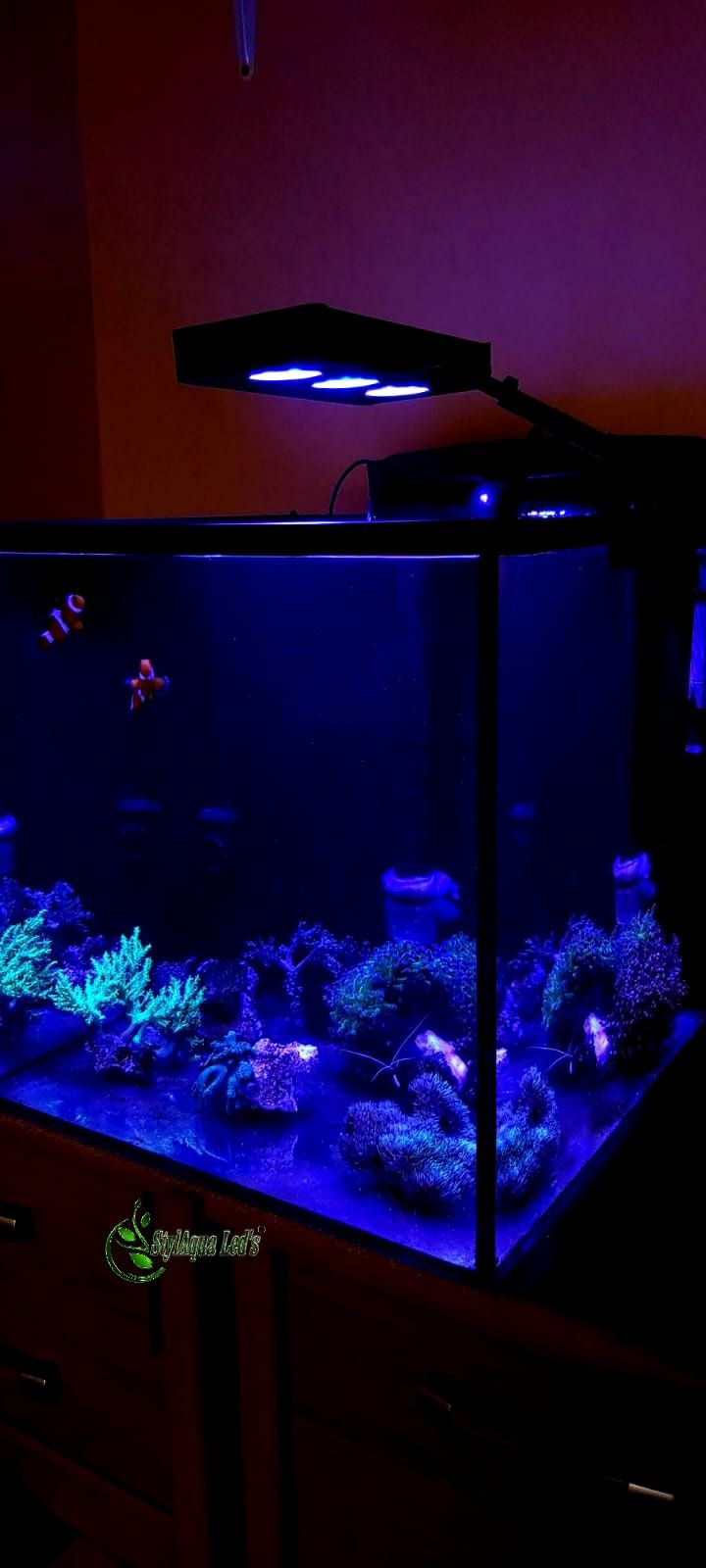 Akwarium nano morskie reef oświetlenie