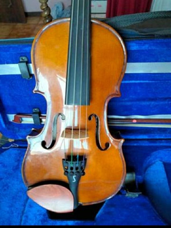 Viola de arco, incluí mala e suporte para o pescoço