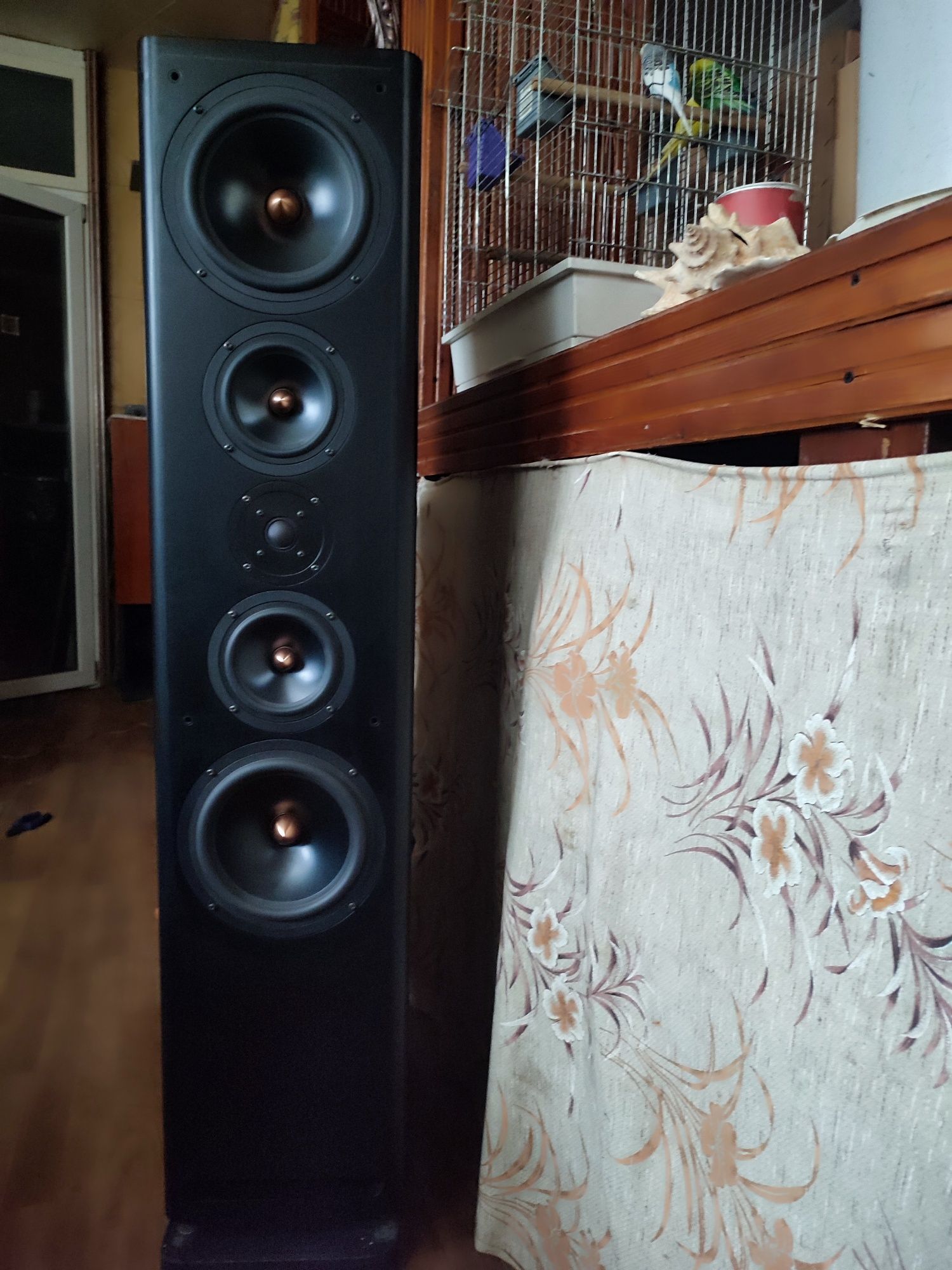 Саntius - 6, Wega Disco20
