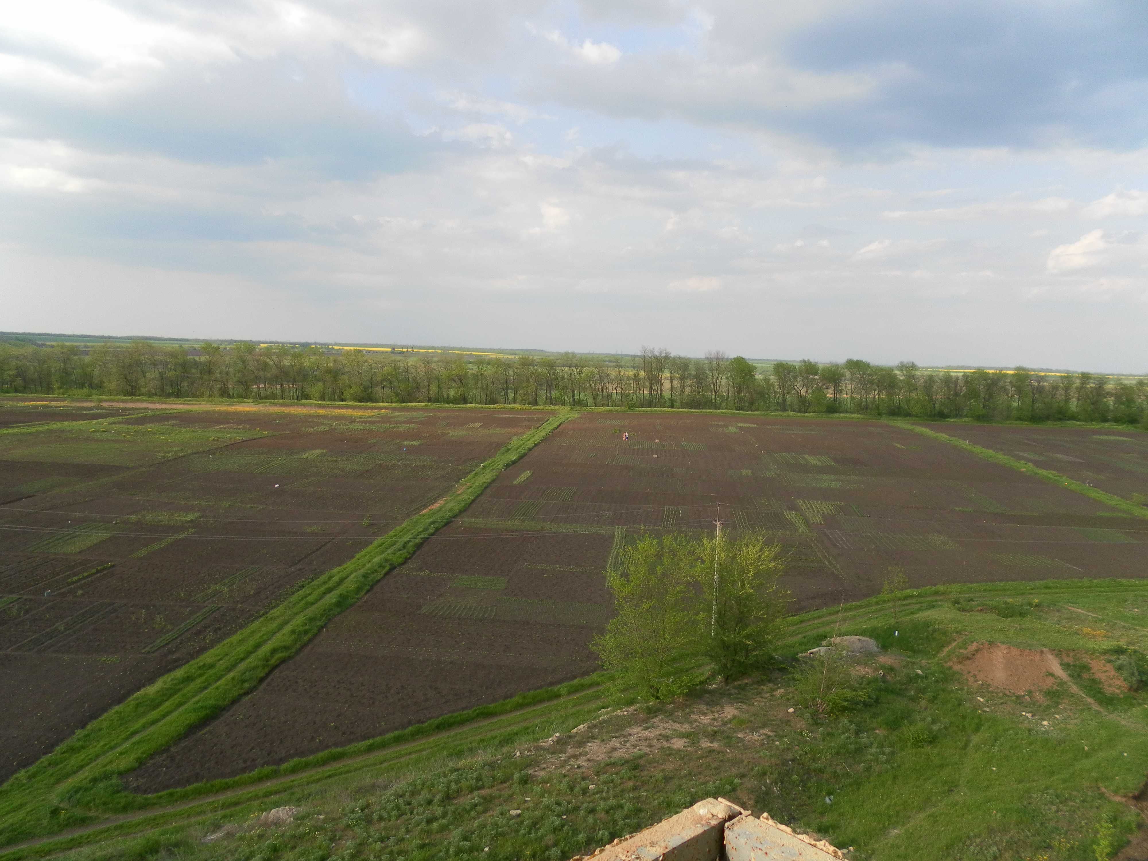 продам квартиру м. Вільнянськ