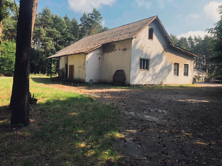 Виробничо-складські приміщення для будь-якого виду бізнесу м.Броди