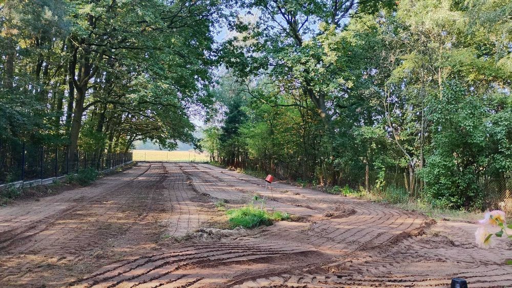 Mulczowanie frezowanie mulczer leśny karczowanie wycinka czyszczenie