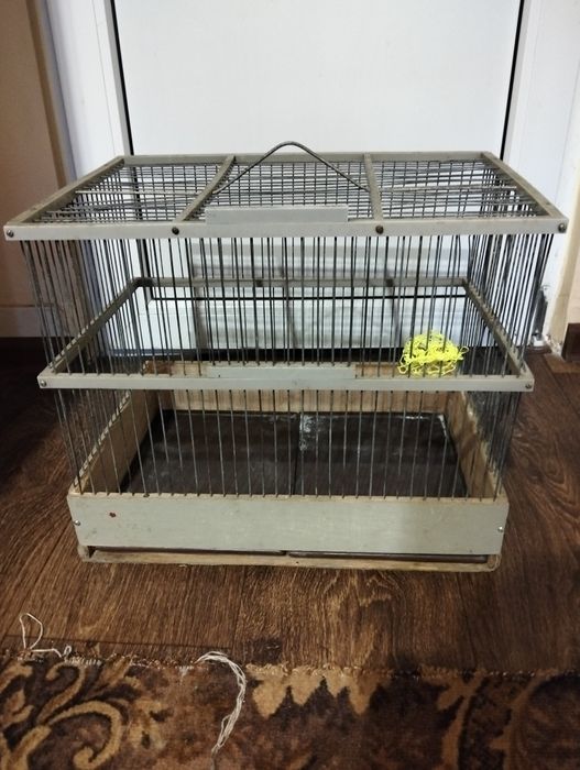 Клітка для пташки