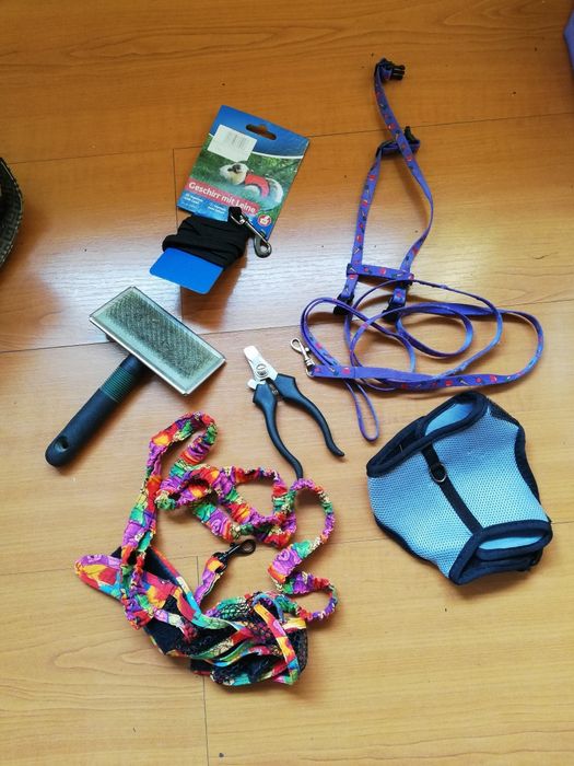 conjunto Acessórios Animais