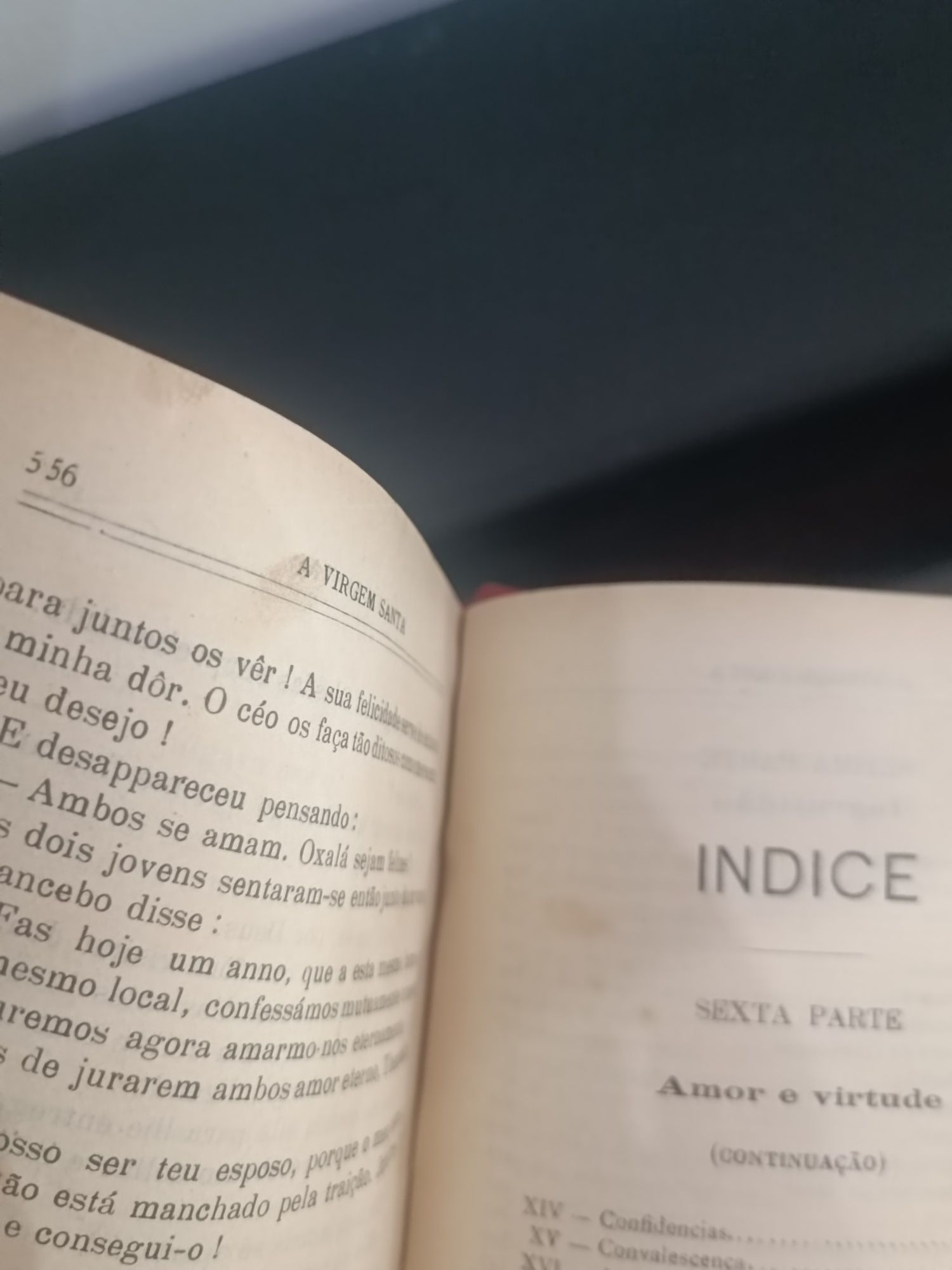 Livro   A Virgem Santa