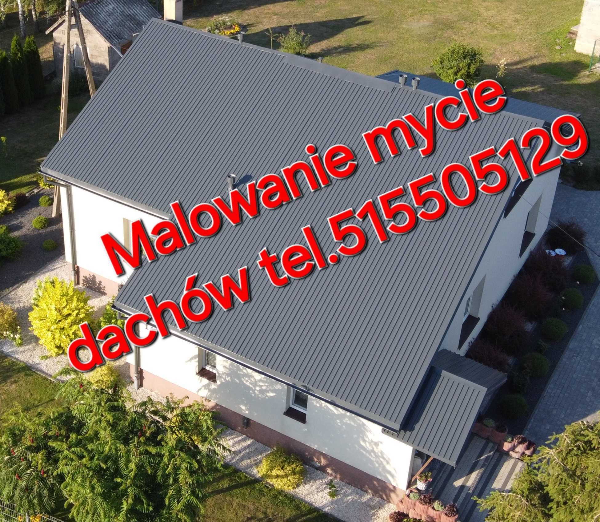 Malowanie mycie dachów i elewacji,  prace wysokościowe