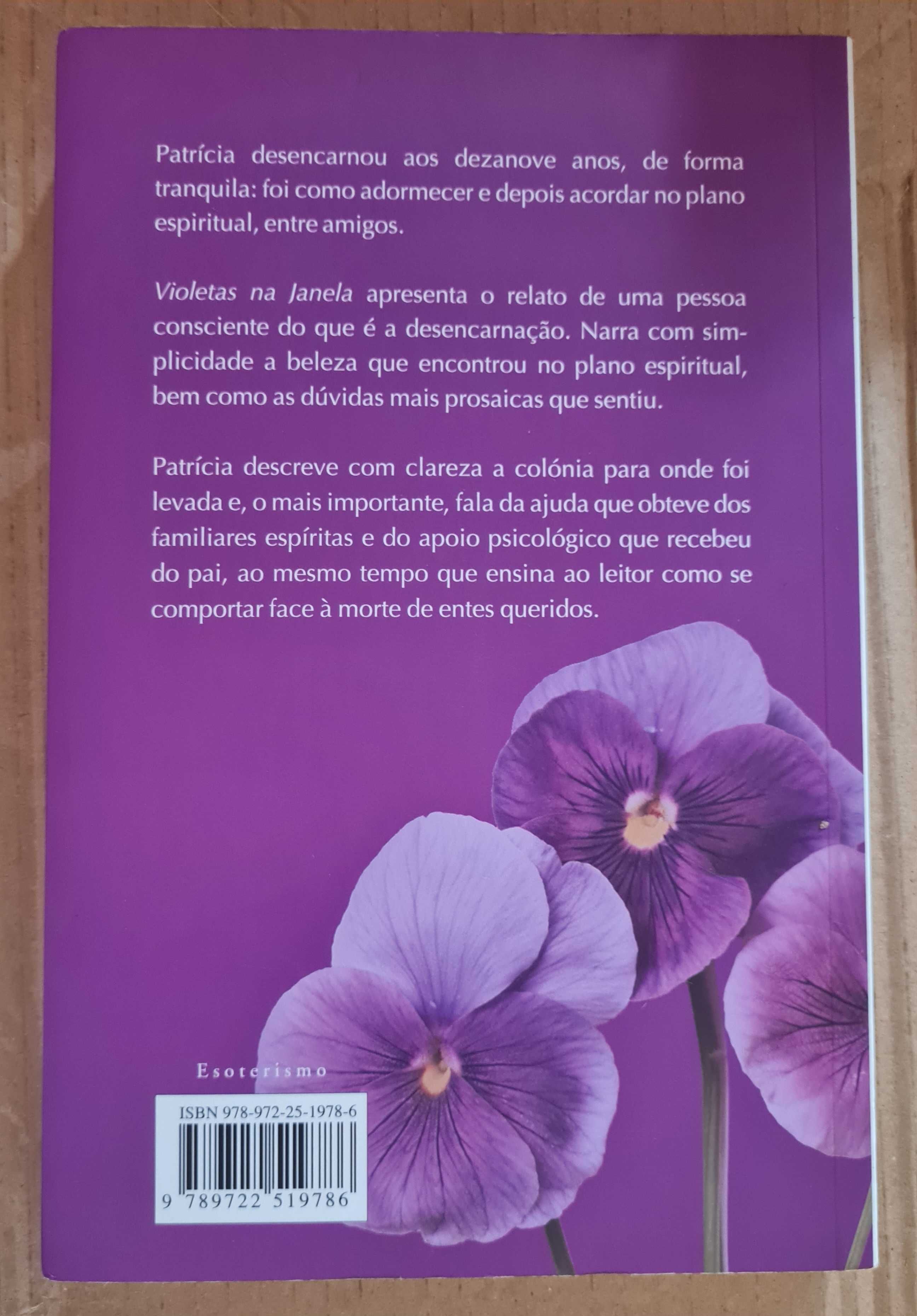 Violetas na Janela de Vera Lúcia Marinzeck de Carvalho