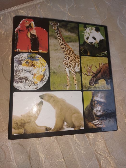 Большая энциклопедия животных