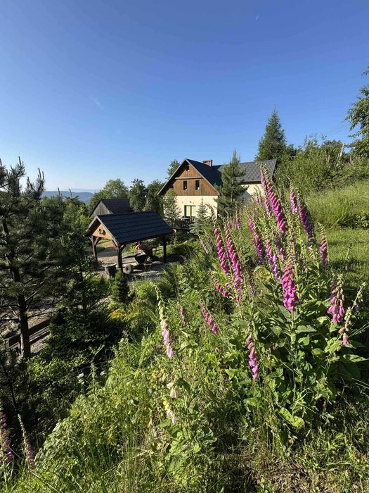 Sprzedam dom/pensjonat/agroturystka na odludziu z widokami, plan ZP