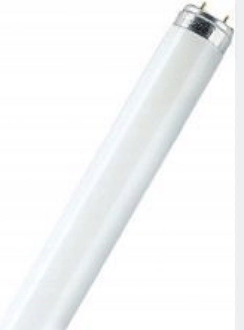 Świetlówka linoiwa jarzeniówka T8 230V G13 36W 840 120