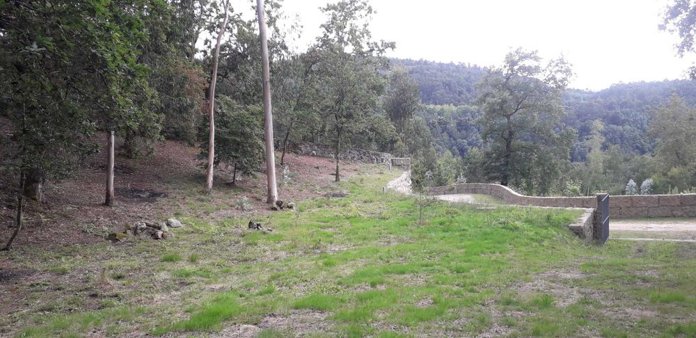 Propriedade com ca. 5 ha em Vieira do Minho