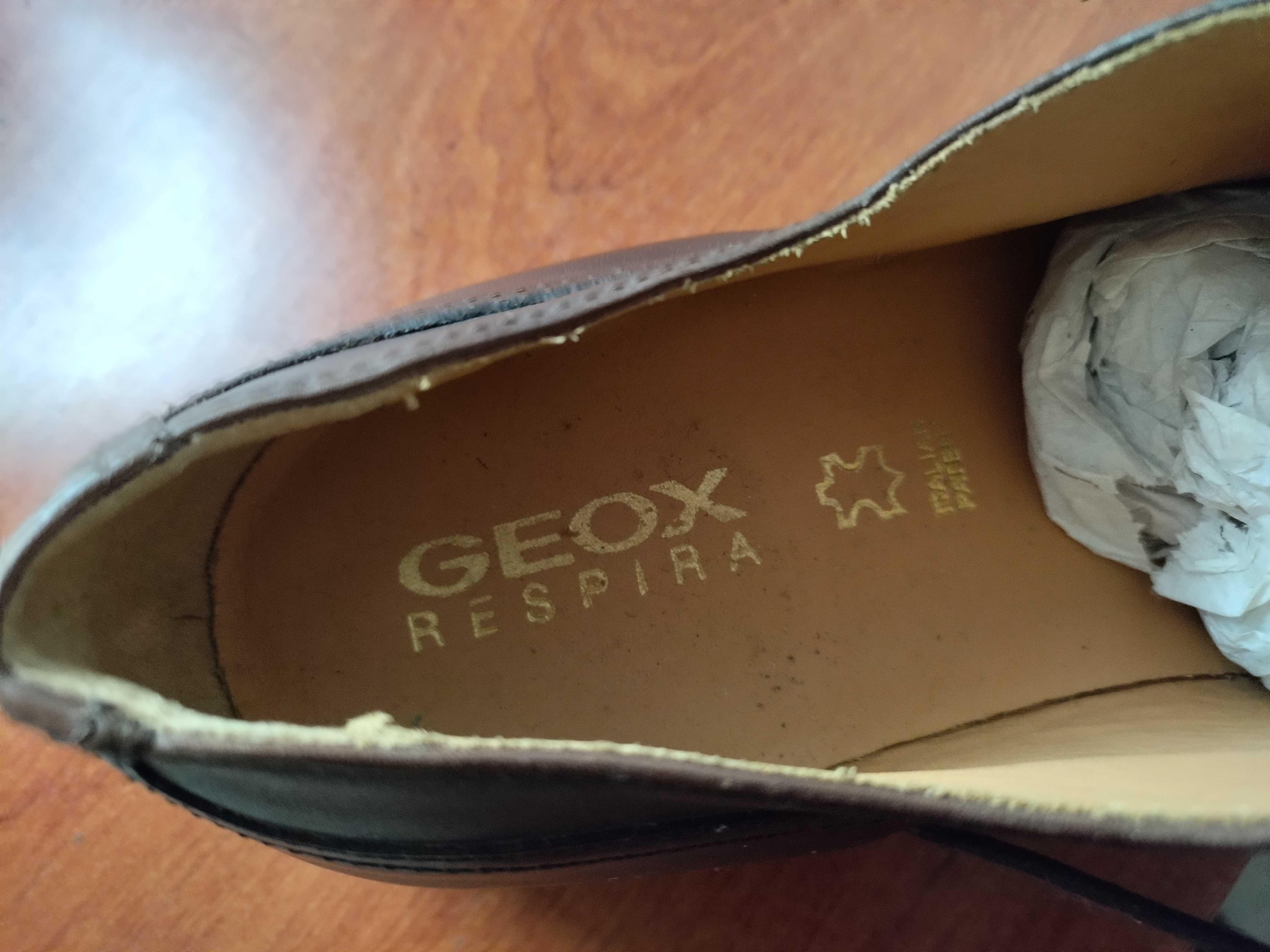 Sapatos novos Geox