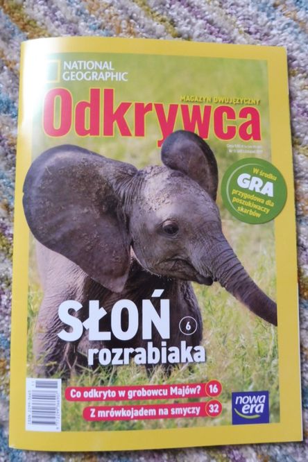 Odkrywca National Geographic 11/19 słoń