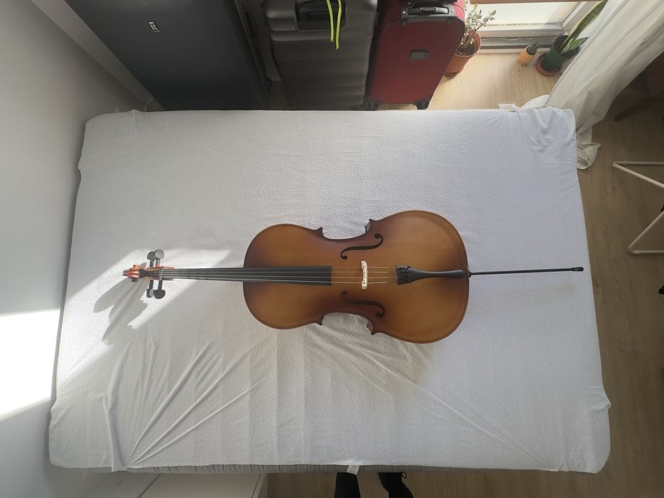 Violoncelo 4/4 begginners