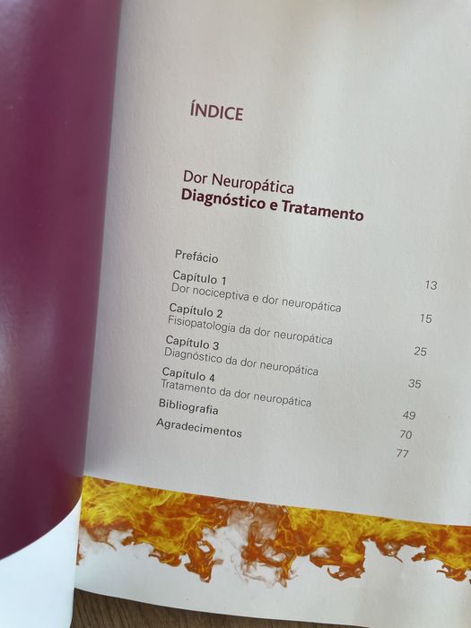 Livro Dor Neuropática Pedro Soares Branco