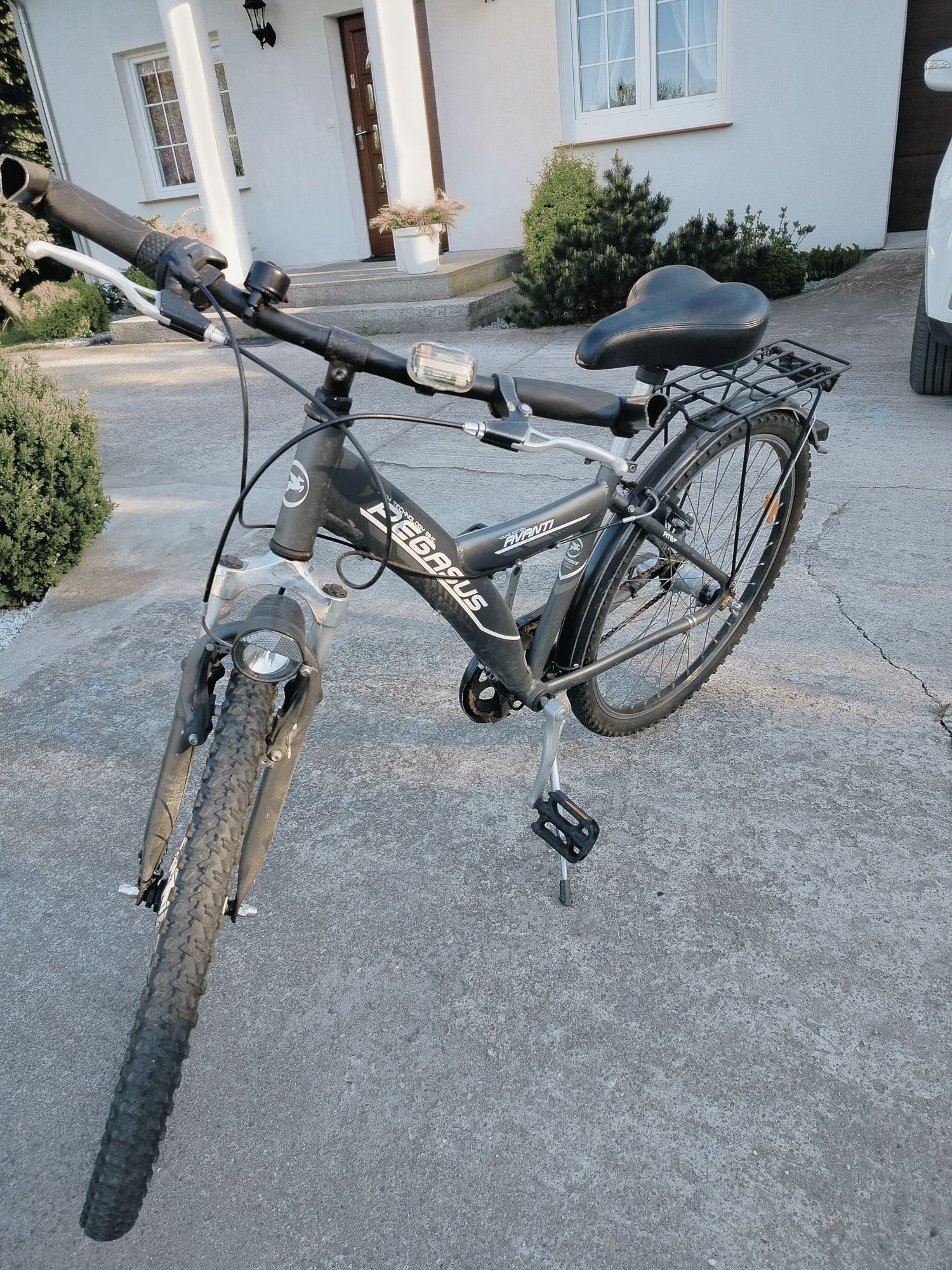 Rower Pegasus koła 26.