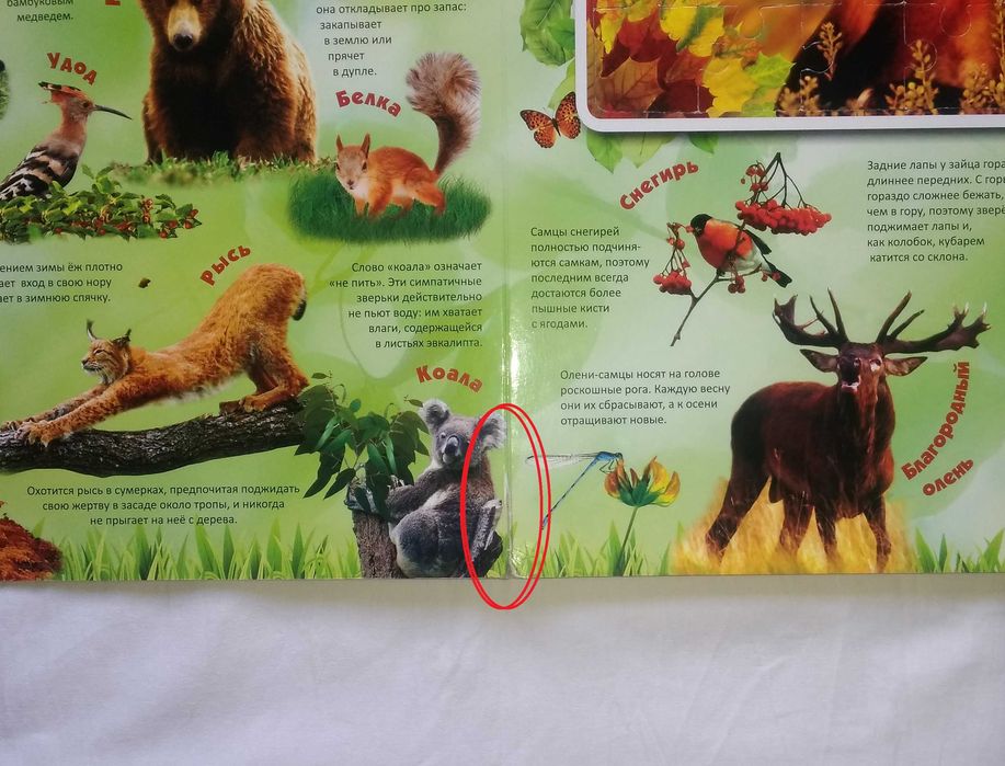 Большая книга-пазл. Красочная и яркая. Все элементы в наличии