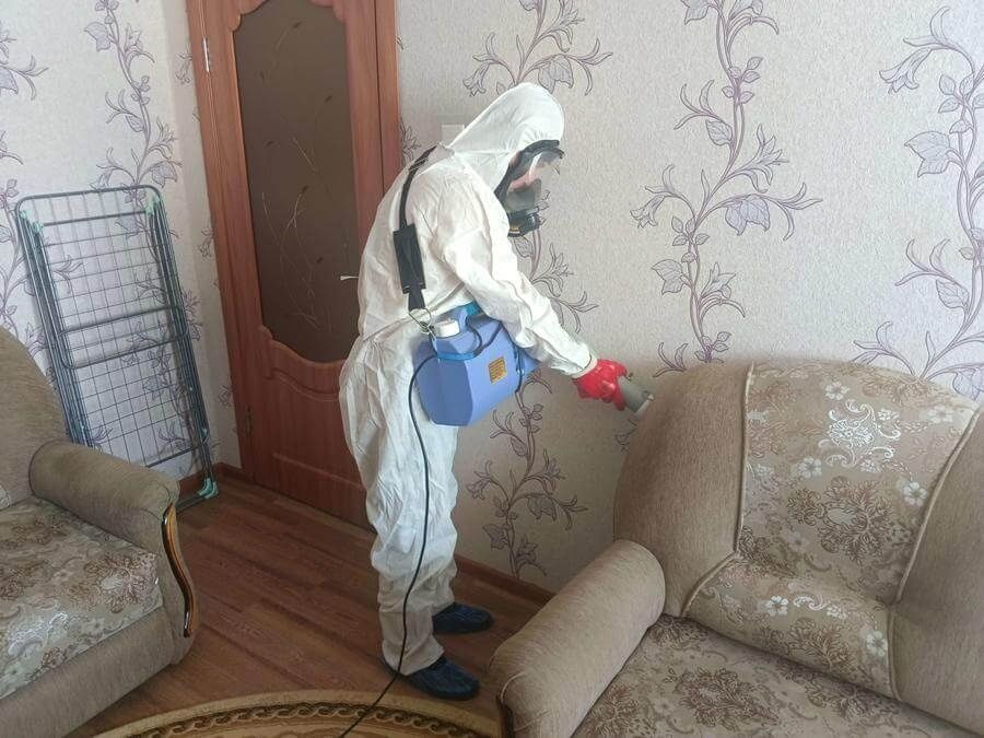 Знищення шкідників: клопів, тарганів, бліх.