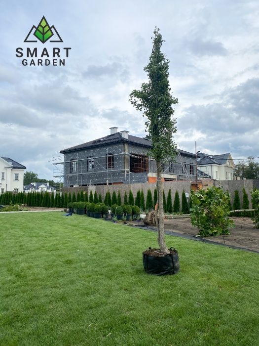 Smart Garden / Usługi ogrodnicze / Nawadnianie / Drenaz-WOLNE TERMINY
