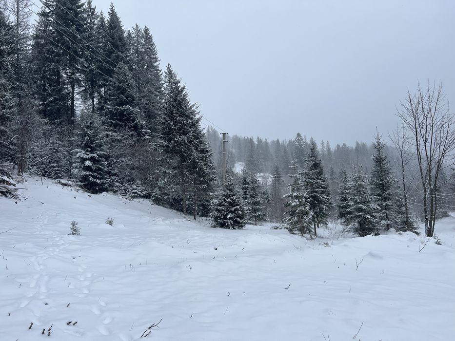Продам зимельну ділянку в Карпатах