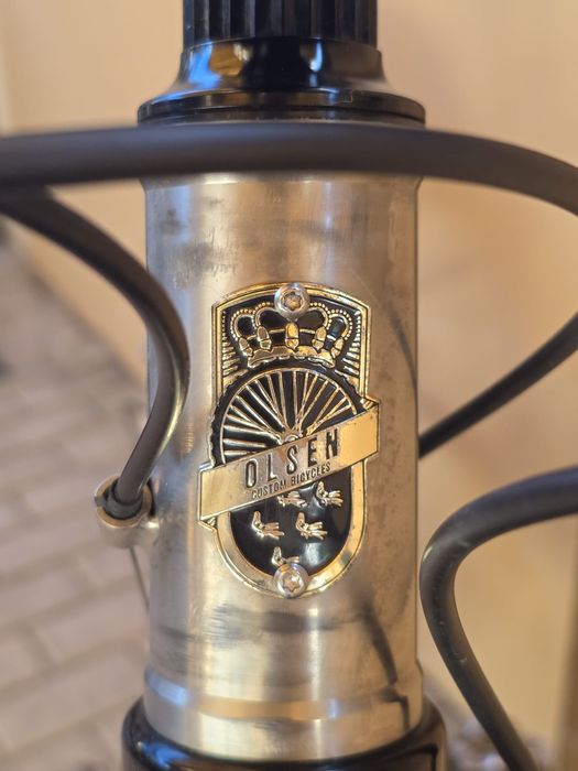 Bicicleta titanio Olson