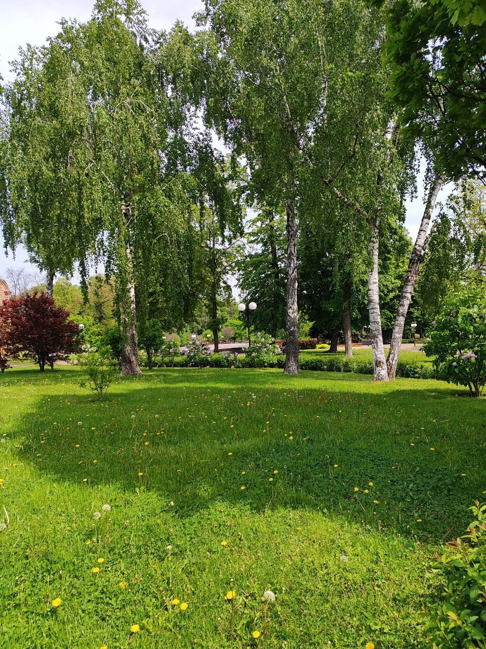 Простора квартира в Центрі міста Ya