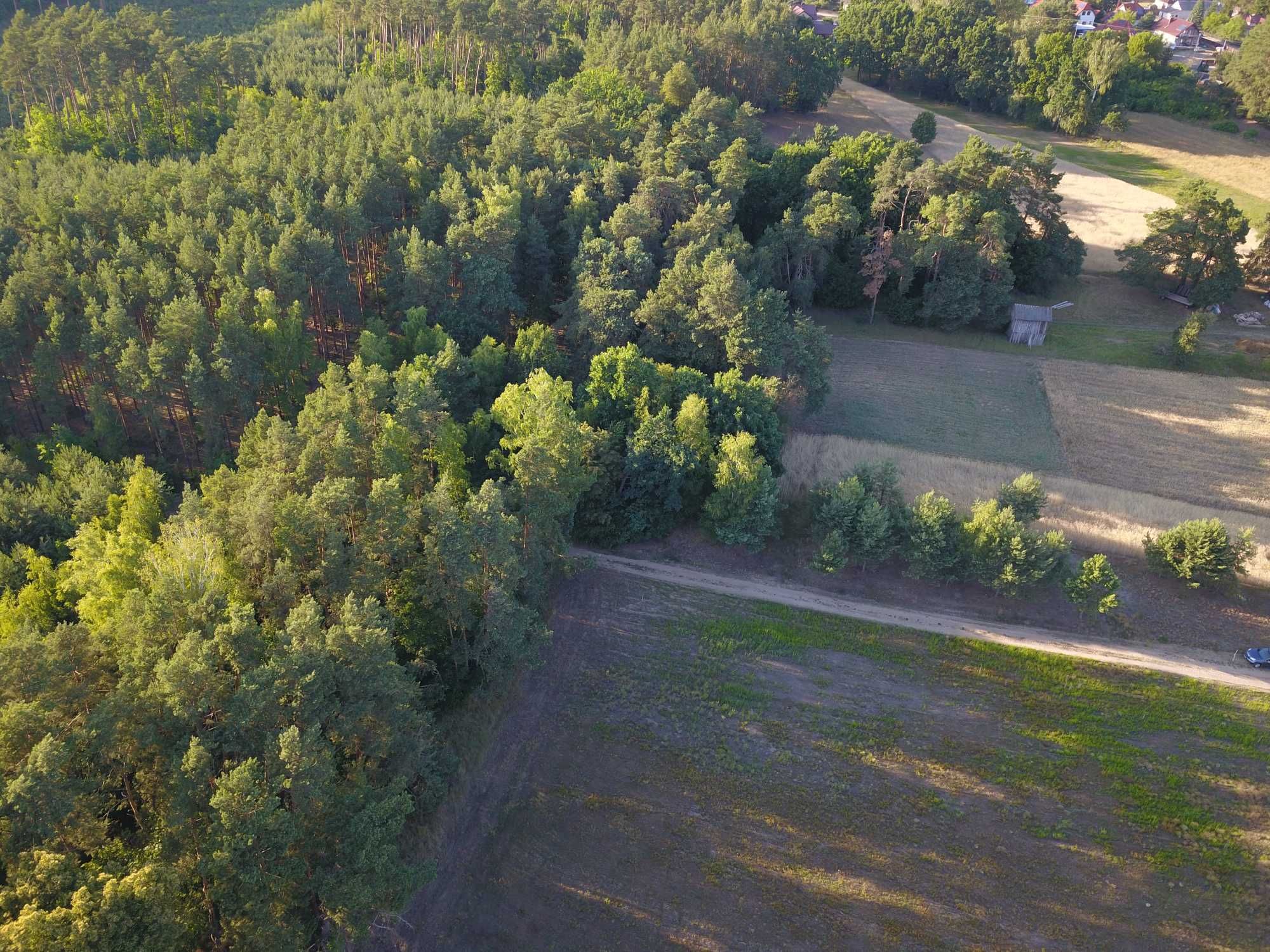 Działka budowlana pod lasem 6km od Pułtuska