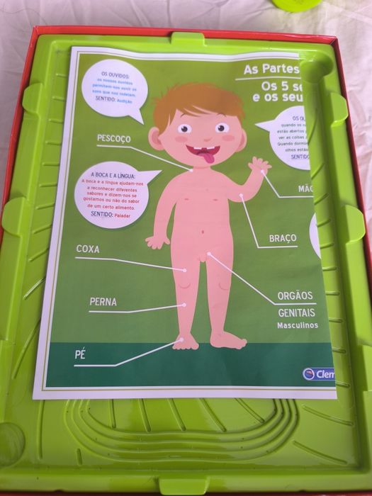 Puzzle do corpo humano