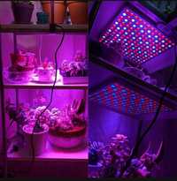 Lampa LED do uprawy roślin