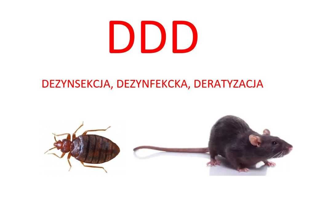 Dezynsekcja, dezynfekcja, deratyzacja. DDD tanio, szybko, solidnie.