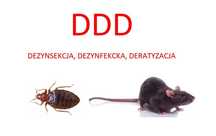 Dezynsekcja, dezynfekcja, deratyzacja. DDD tanio, szybko, solidnie.