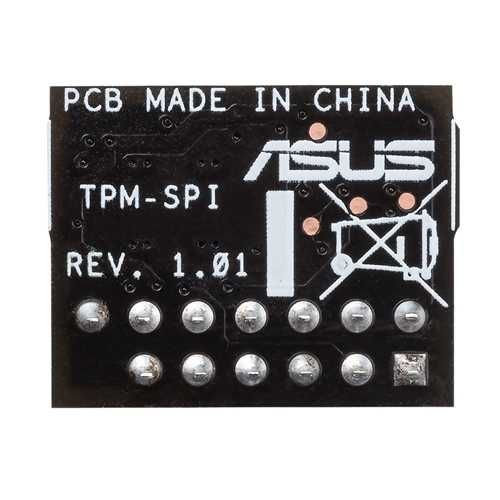 Módulo TPM-SPI Asus