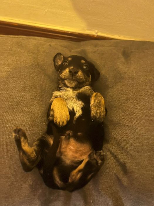 Para doação responsável