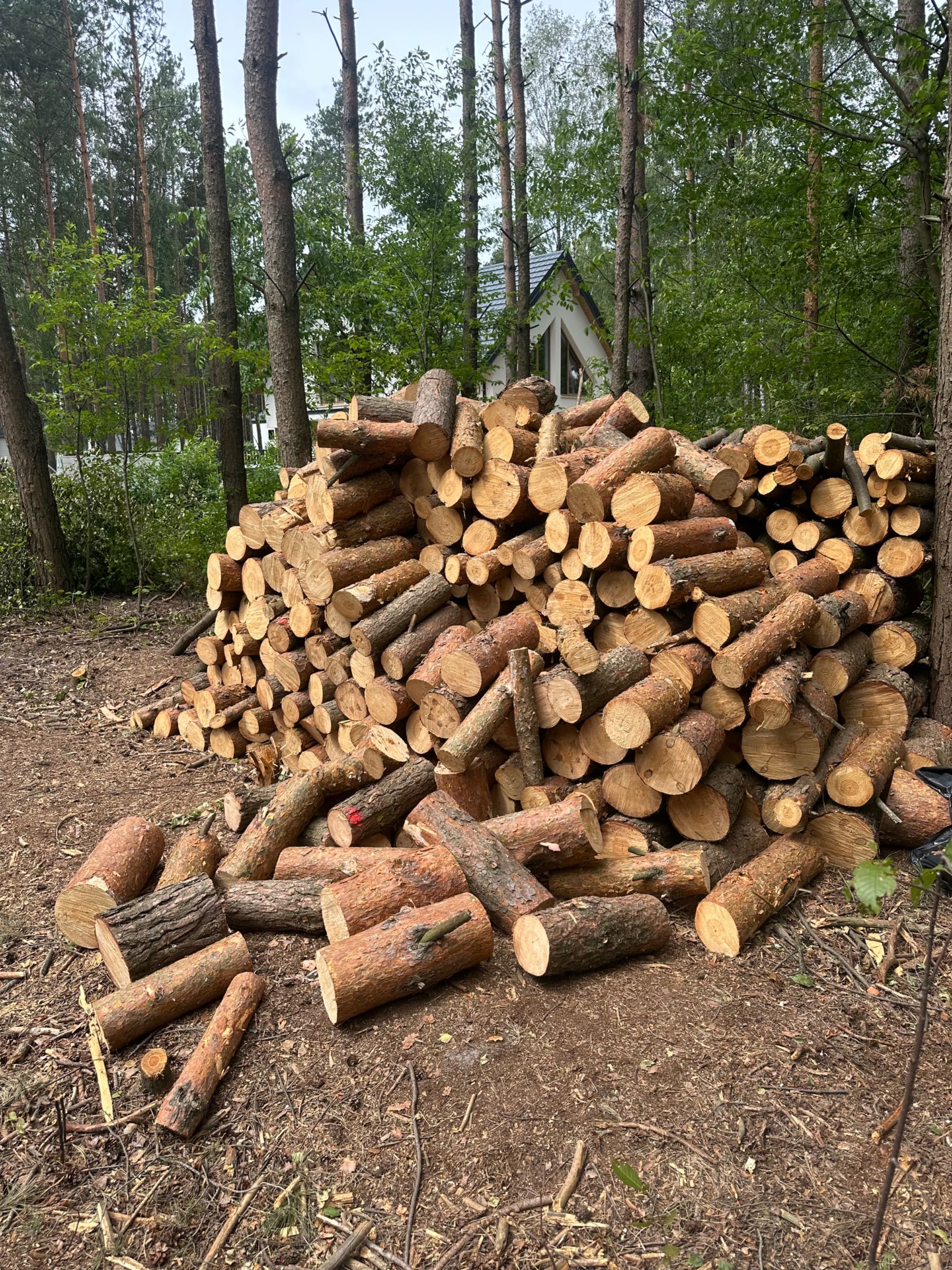 Drewno opałowe Sosna 150 zł m3