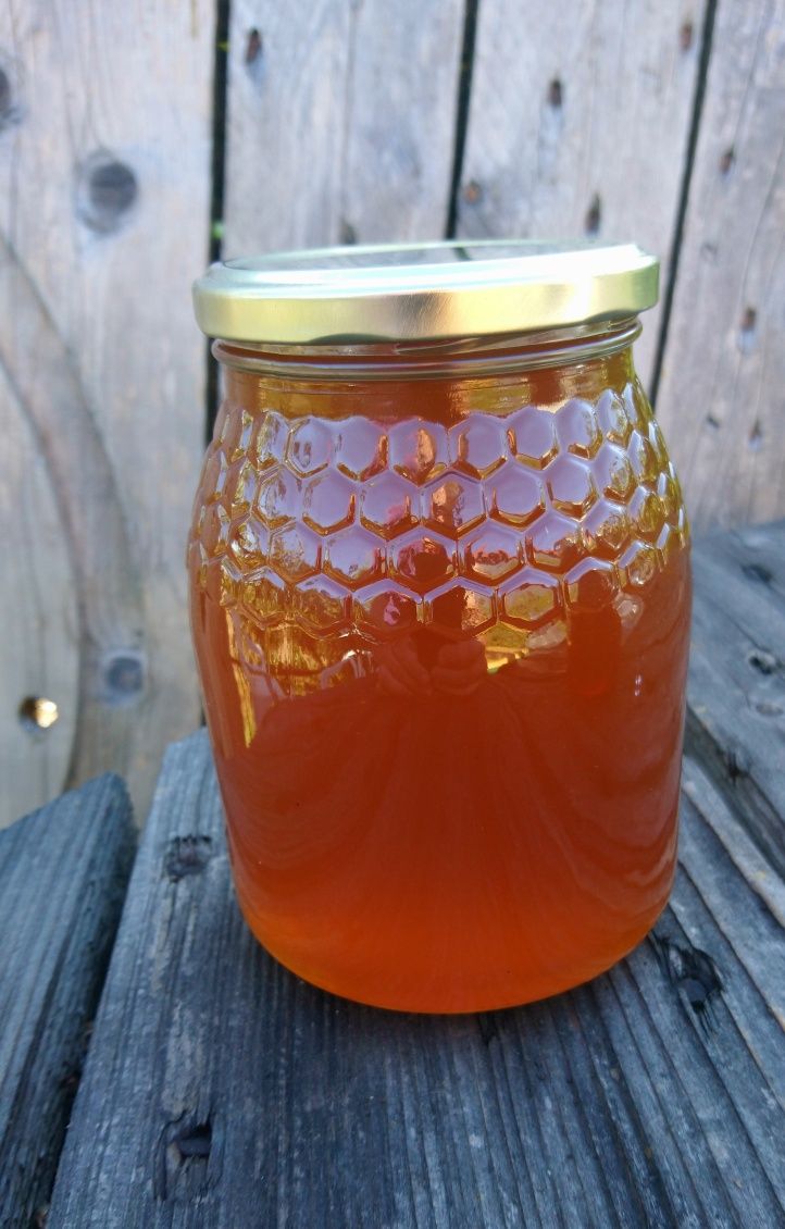 Mel em frasco 1 kg apicultura.