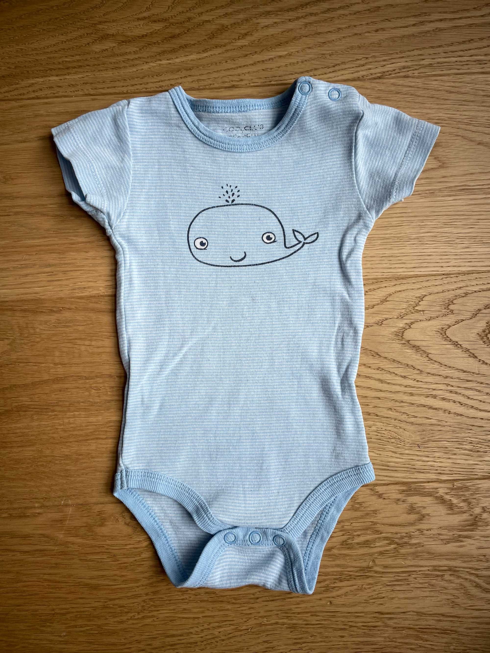 Body niemowlęce Cool Club (błękitno-białe, 68 cm)