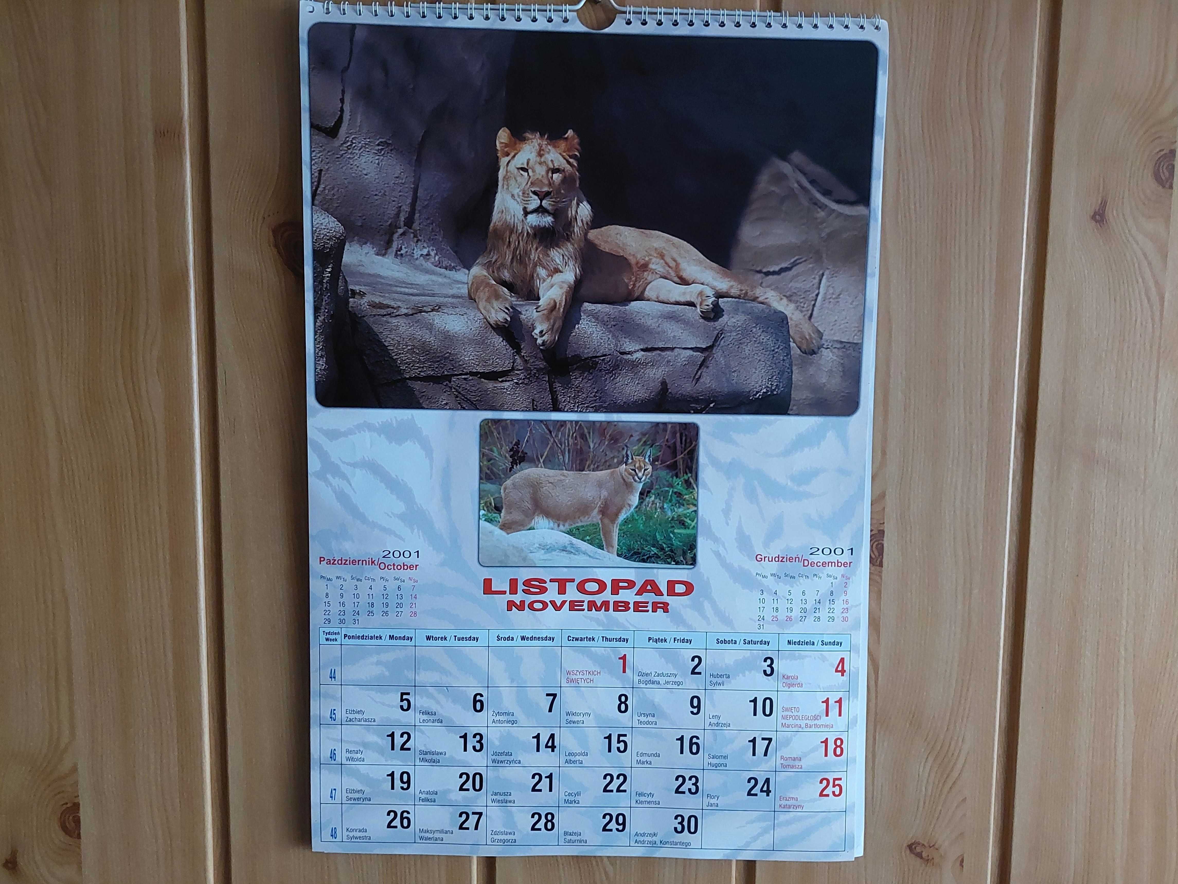 Kalendarz - Dzikie koty (2001)