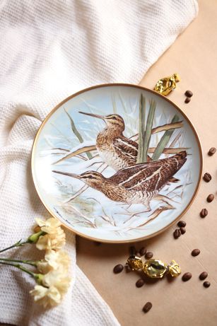 Talerz Franklin Limoges porcelana dzikie ptaki
