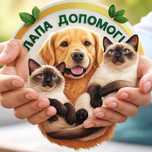 Ветеринар на дім