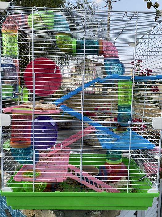 Gaiola para hamster para venda