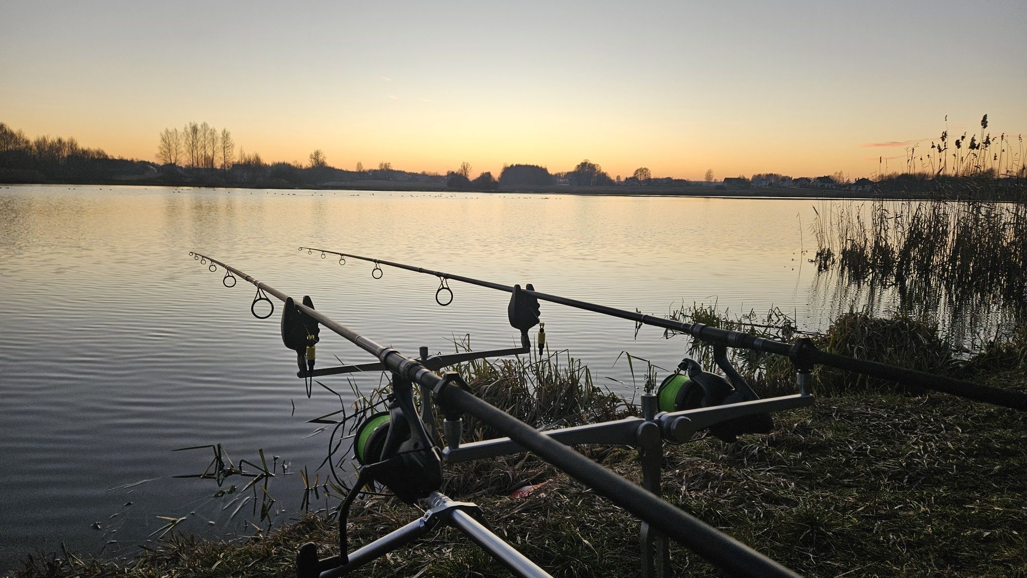 Rodpod Meccanica Vadese Smart Pod