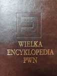 Wielka encyklopedia PWN 31 tonów.