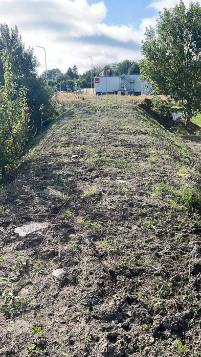 Oddam ziemię z wykopów