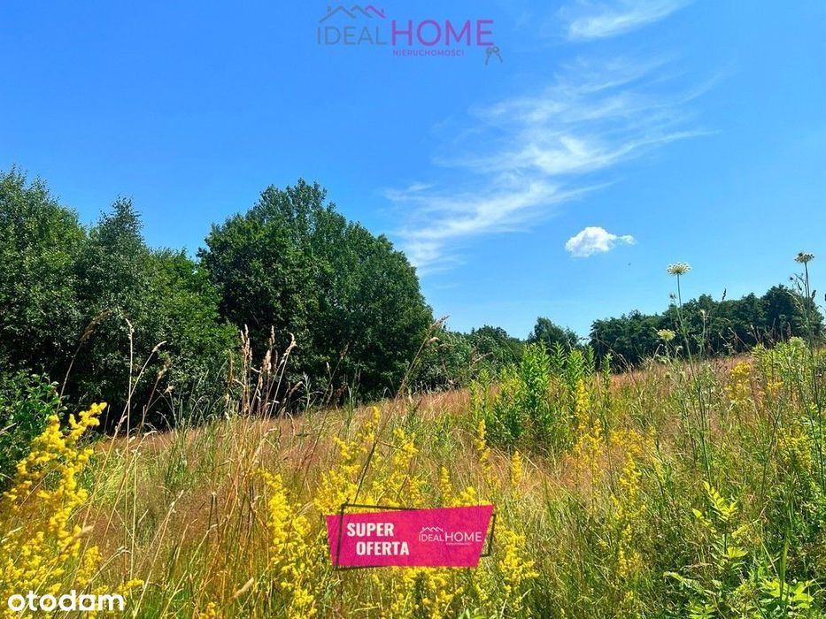 Szkodna kompleks działek na sprzedaż