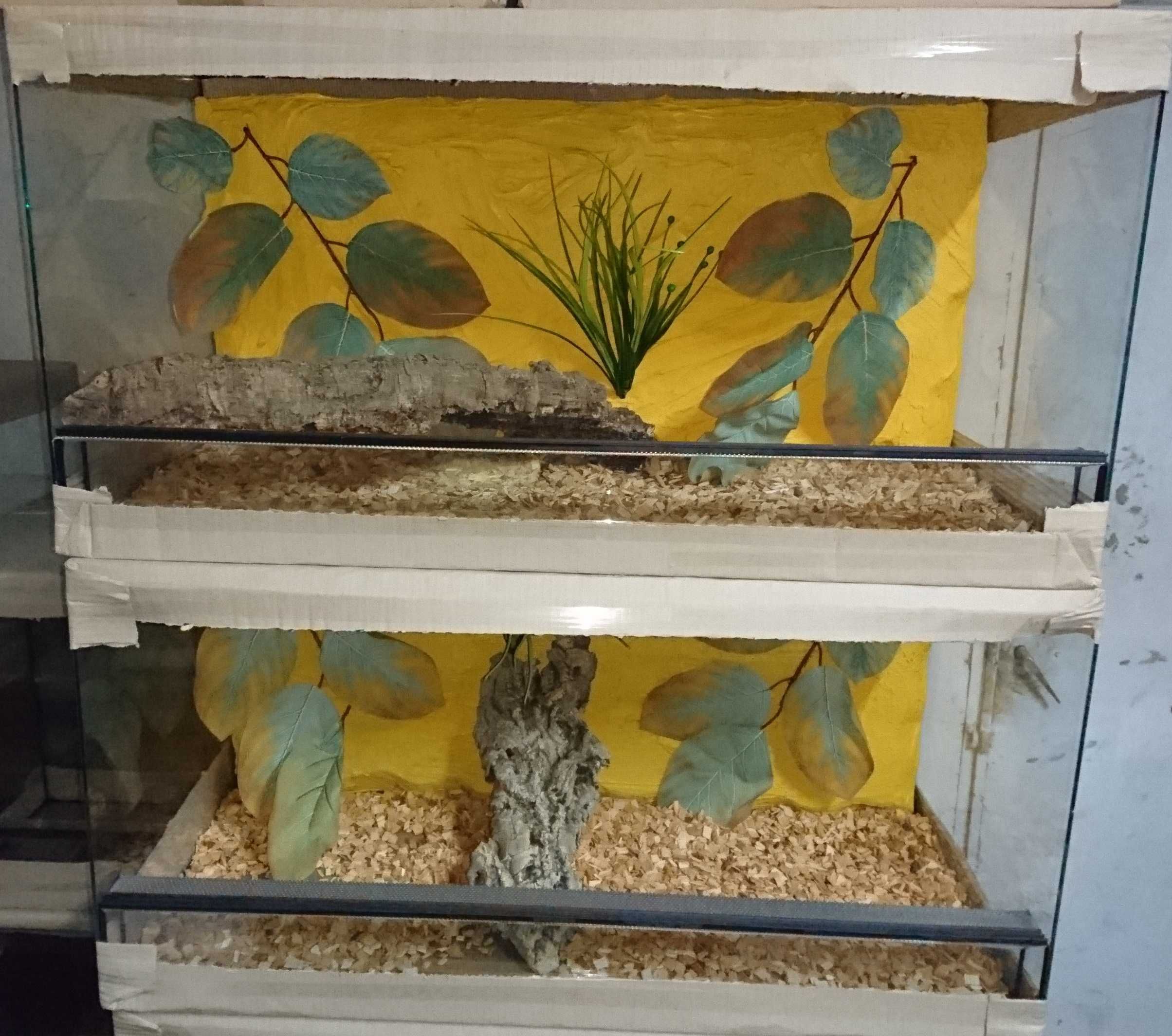 Terrarium 100/40/40 z gekon lamparci