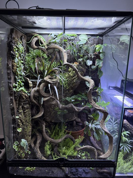 terrarium exo terra 60x45x90