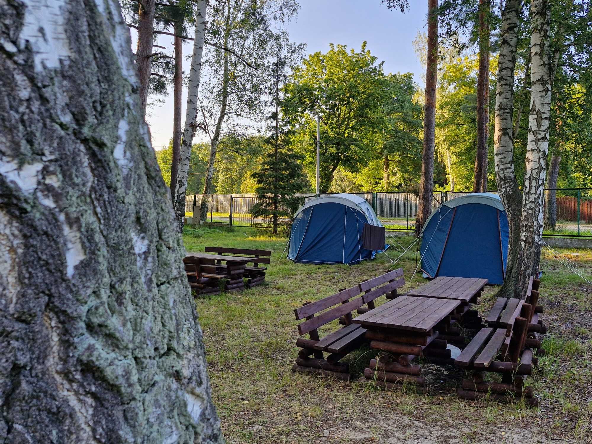 camping, domki  -  Sobieszewo
