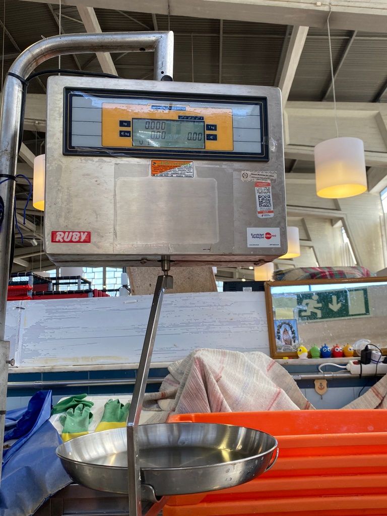 Balança Suspensão.